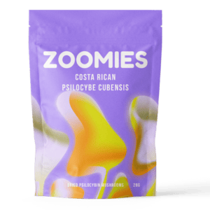 Costa Rican | Magic Mushrooms Hamilton Canada