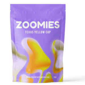 Texas Yellow Cap | Magic Mushrooms Hamilton Canada
