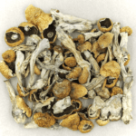 Orissa | Magic Mushrooms Hamilton Canada