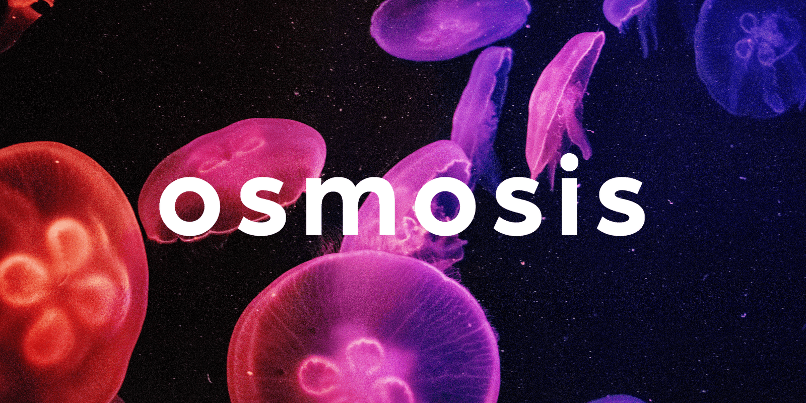 Zoomies osmosis banner | Magic Mushrooms Hamilton Canada