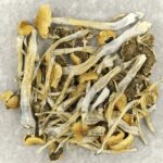 Trinity | Magic Mushrooms Hamilton Canada