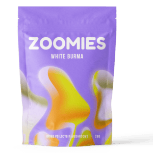 White Burma | Magic Mushrooms Hamilton Canada