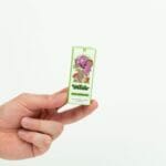 Wonder – Psilocybin Chocolate Bar – Dark Chocolate | Magic Mushrooms Hamilton Canada
