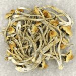 Hautla | Magic Mushrooms Hamilton Canada