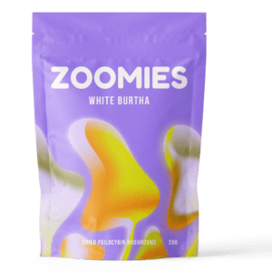 White Burtha | Magic Mushrooms Hamilton Canada