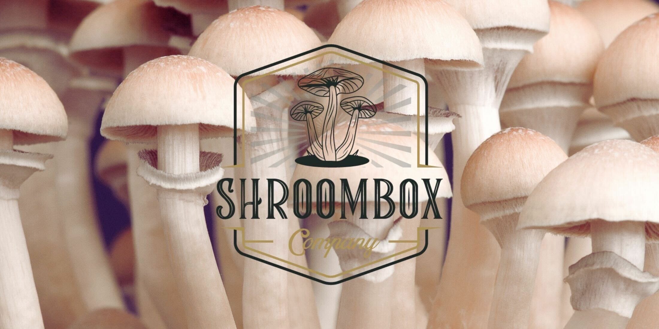 Shroom Box logo | Magic Mushrooms Hamilton Canada
