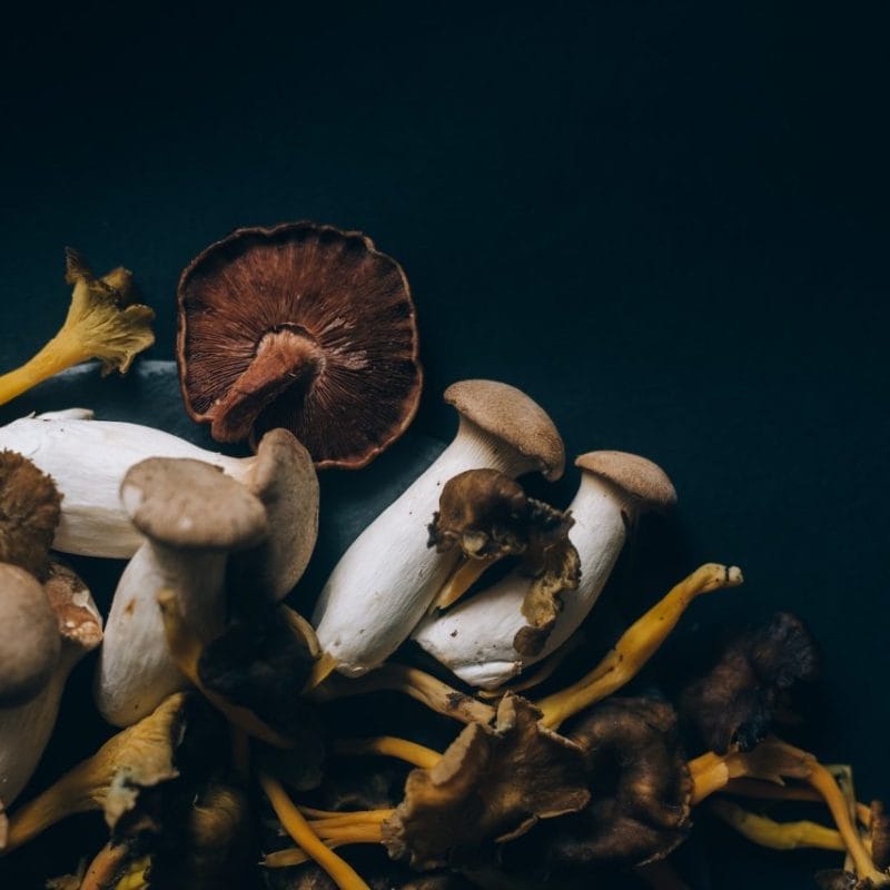 Dried Shrooms | Magic Mushrooms Hamilton Canada
