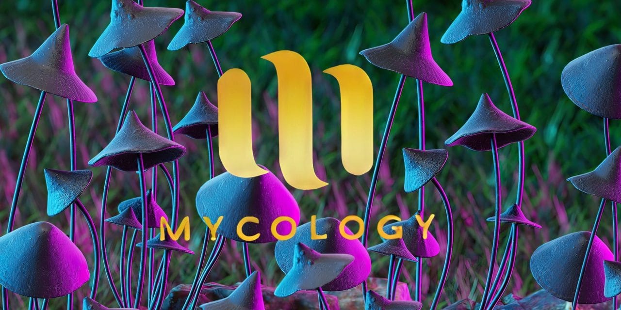 Zoomies Summer 2023 Banner - Mycology | Magic Mushrooms Hamilton Canada