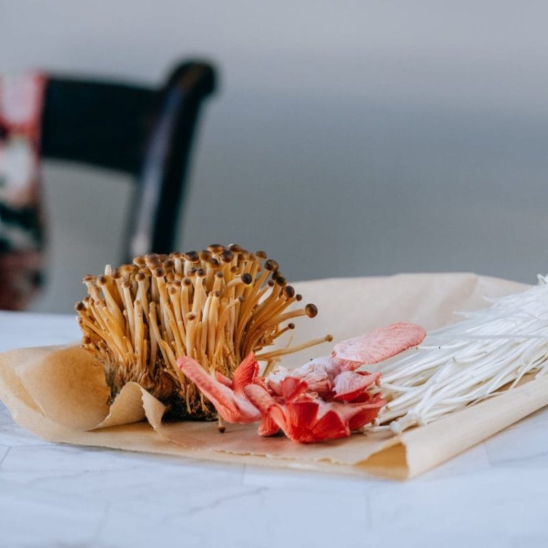 Buy Shrooms Online Canada (1) | Magic Mushrooms Hamilton Canada