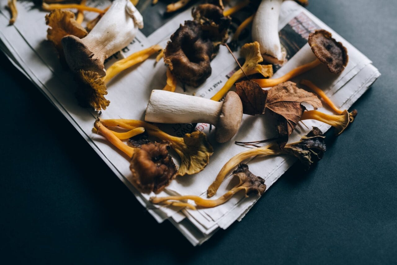Is There a Good Combination of Mushrooms and Chocolate?